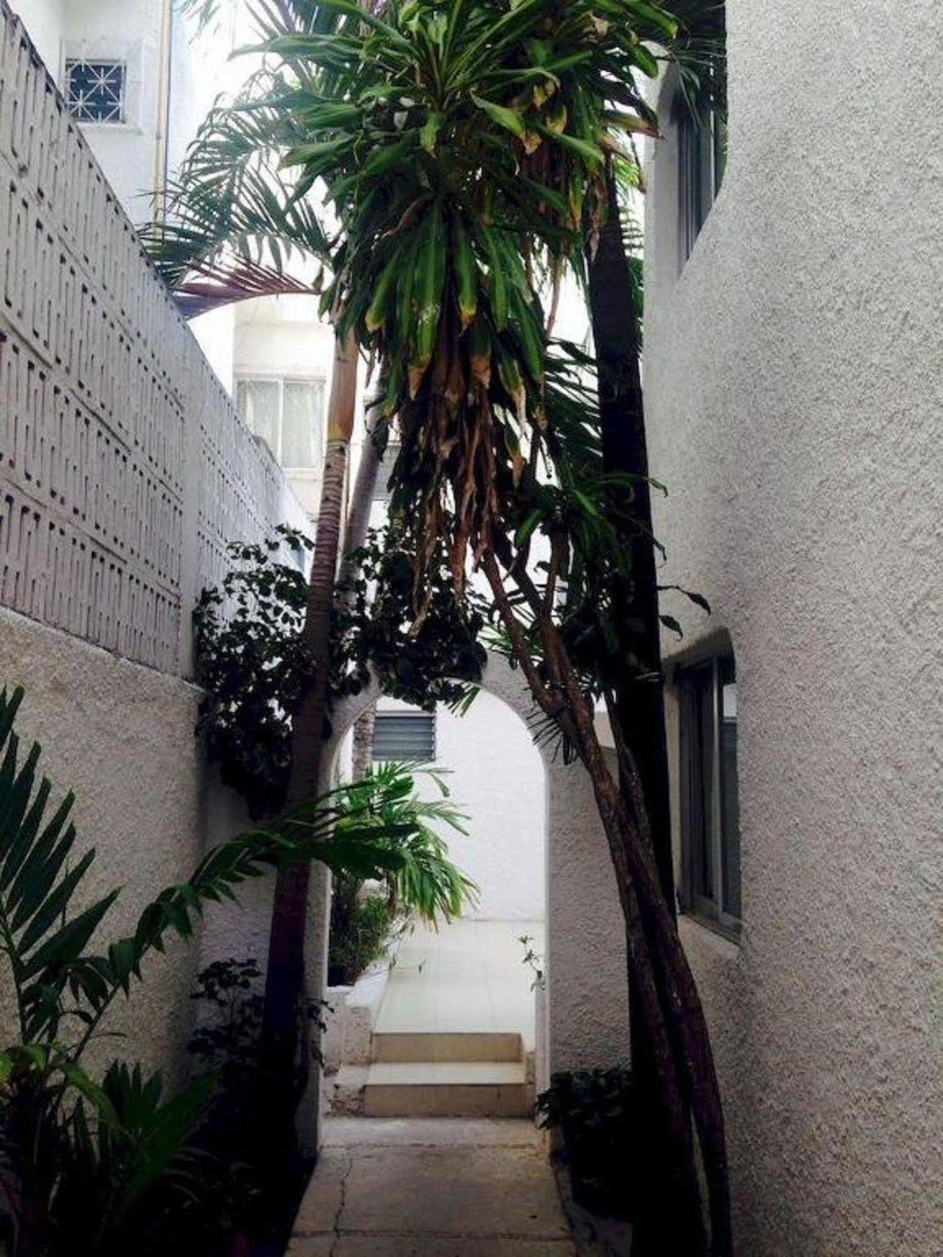 Hotel Plaza Carrillo'S Cancún Exterior foto